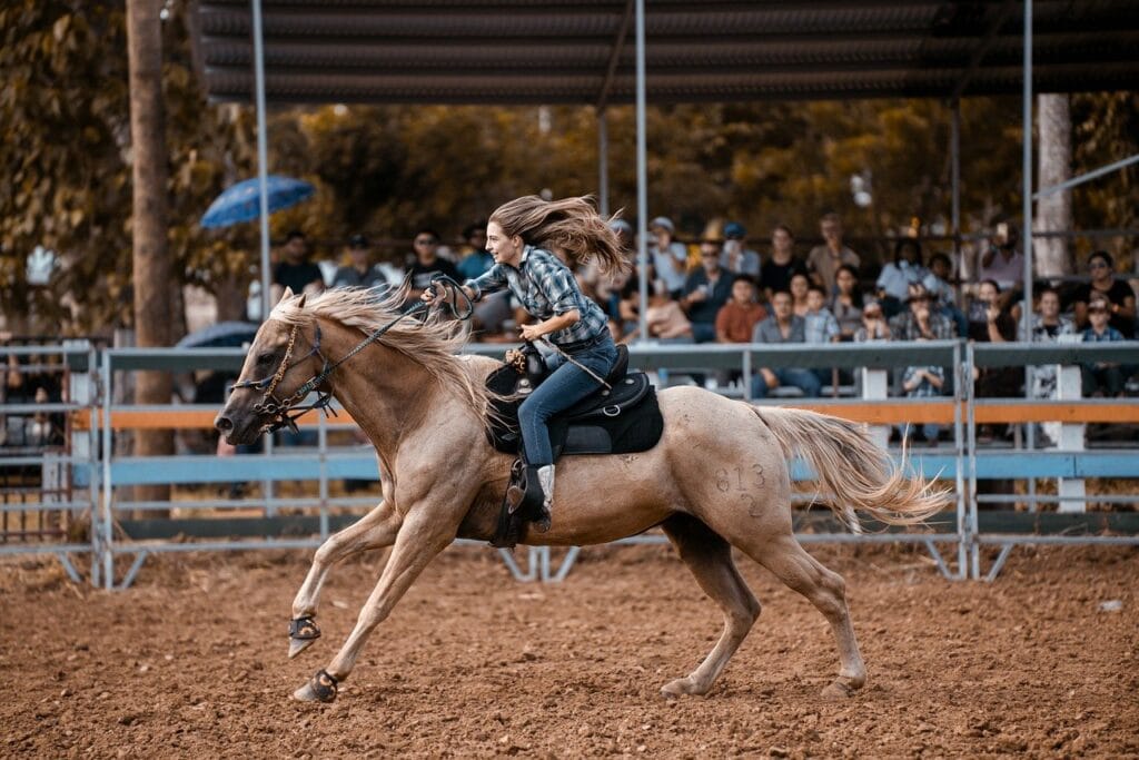 horse, rider, rodeo