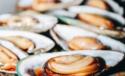 Fresh Green-lipped Mussels from New Zealand - Europa Travel Hub
